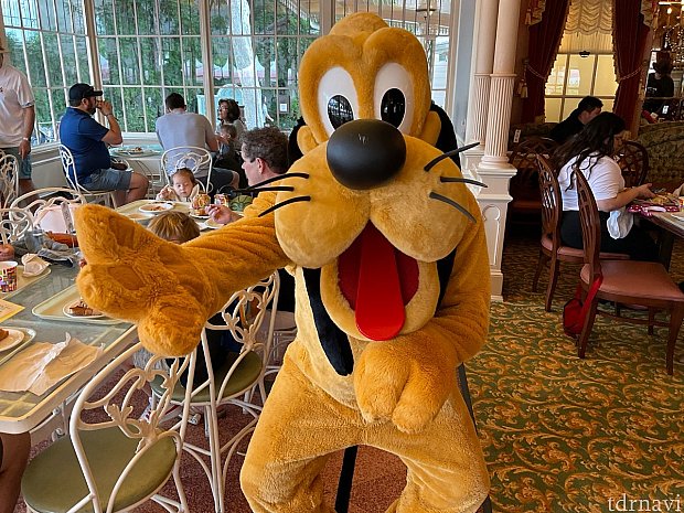 ミニーちゃんのエプロンがかわいくリニューアル&フォトパス無料