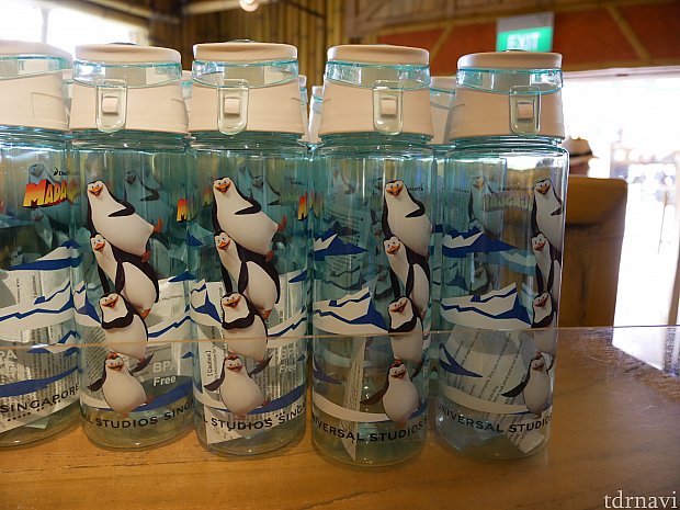ペンギンズの水筒