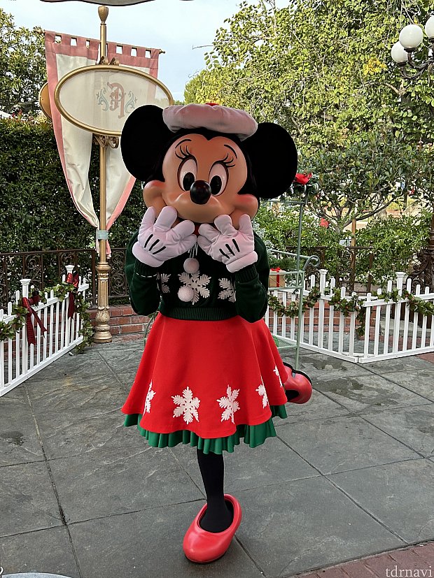 ホリデースタイルのミニーちゃんに会えました✨ | プラザ・イン