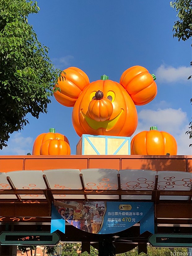入園ゲートには大きいキャラクターのかぼちゃ!
この日は8:00オープンの日でしたが、アーリーはなく荷物検査オープンは7:50過ぎでした。
私は7:50に荷物検査に並び、入園出来たのは8:20。