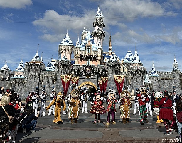 キャラクター大集合！お昼のディズニーランドバンドは必見