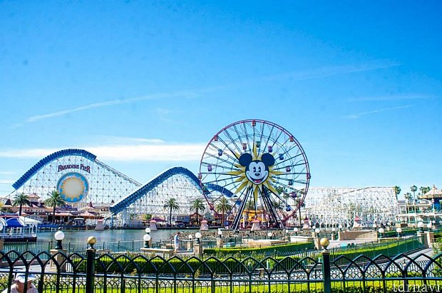 予想以上に酔う・・・・ | ピクサー・パル・ア・ラウンド