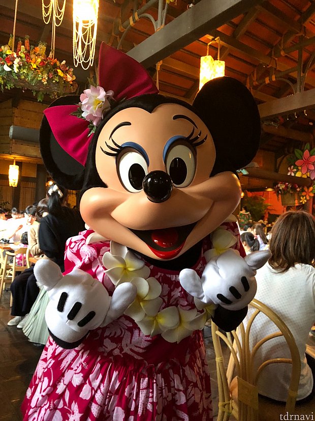 ミニーちゃん!
アロハと挨拶してくれました!