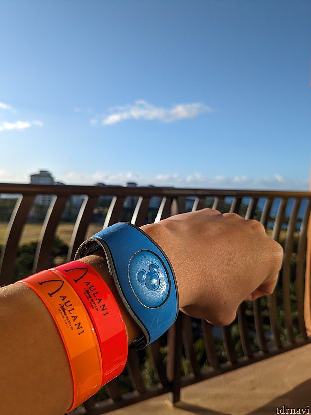 【新品未使用】アウラニ マジックバンドプラス(AULANI MagicBand) マジックバンドが活躍！