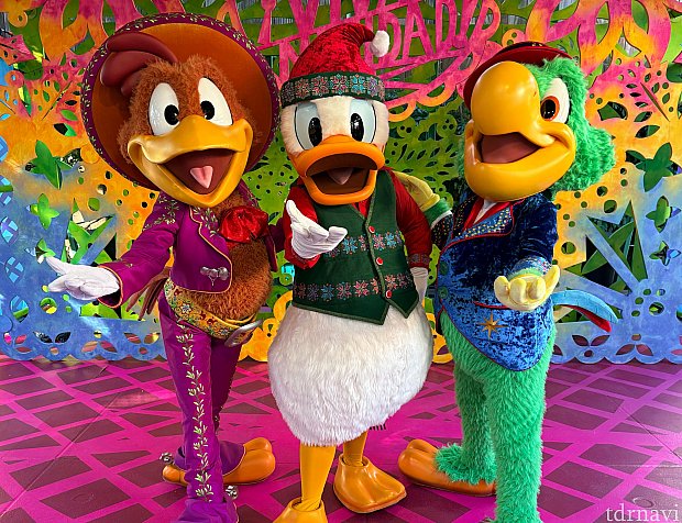 a2a959f836b4a98f5f78d5c71211dc