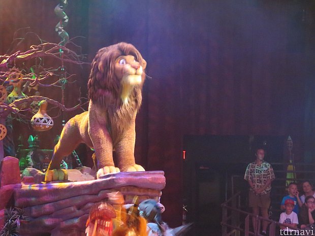 終始号泣。圧倒的歌唱力とパフォーマンスに感動！ フェスティバル