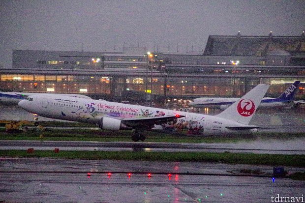 JAL特別塗装機 セレブレーションエクスプレス