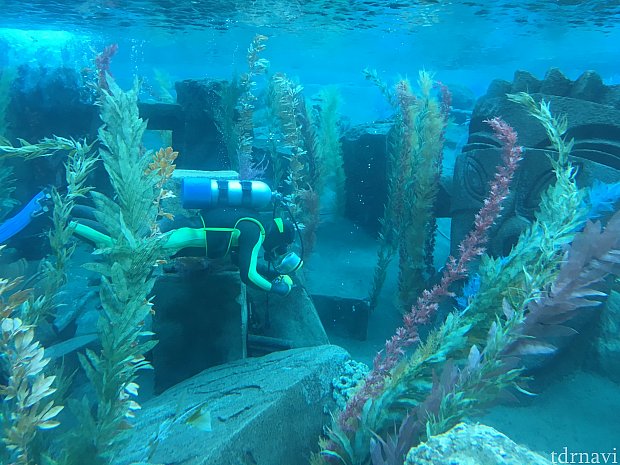 本物の潜水艦でニモの世界へ | ファインディング・ニモ