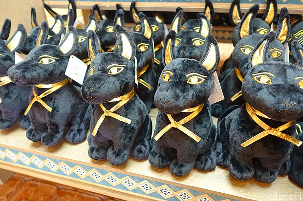 こちらが大人気のアヌビス神のぬいぐるみ!