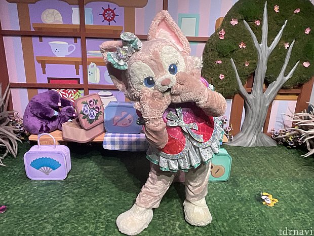 3日間で全7キャラクターに会えなくなってる？ダッフィーの