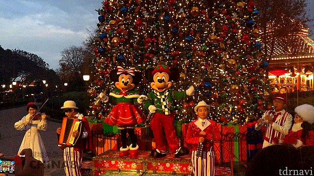 2019クリスマスツリー点灯式 場所確保は大変 イベントは大満足（上海）