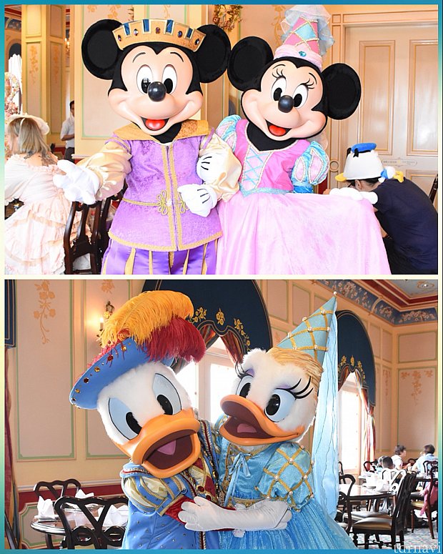参考までに、ロイヤルバンケットホールのミキミニ&ドナデジ♡