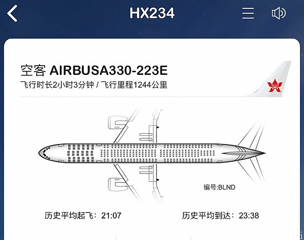 飛行機はエアバス330でした。