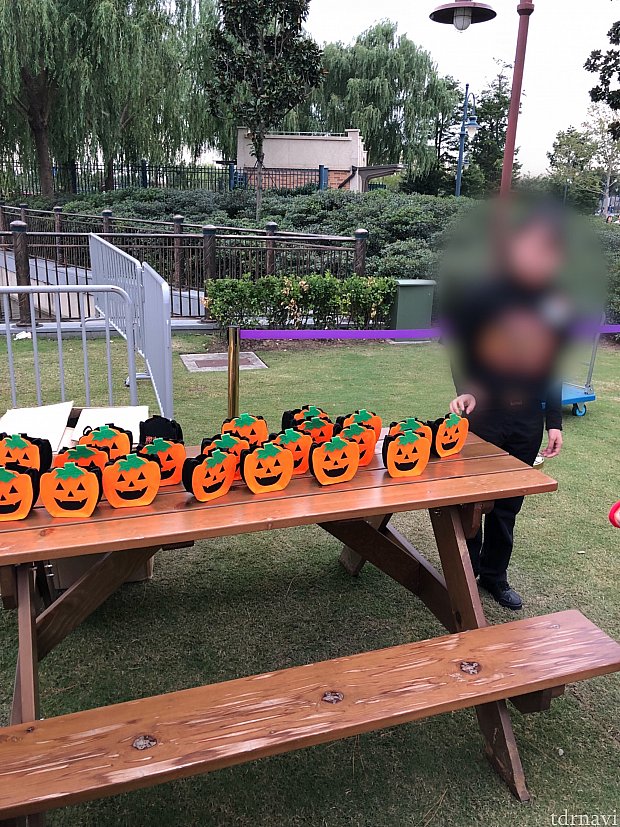 まず芝生広場でバッグをゲット!子ども1人に一つ貰えます