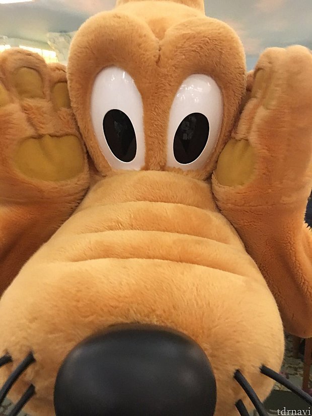 ノリノリのプルートでした😝