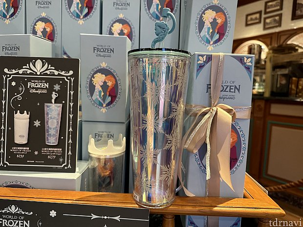 Disney - 新品☆ディズニー アナ雪 スタバ タンブラー 香港限定 香港ディズニーxスタバコラボ☆アナ雪タンブラー（2種
