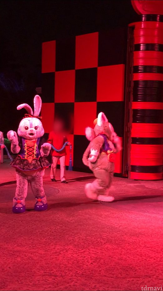徒歩で登場するジェラトーニとステラルー!
後ろにはすぐロープを持ったキャストさんが。
去年は仮装ゲストが後ろに参加していましたが、今年はどうかな??