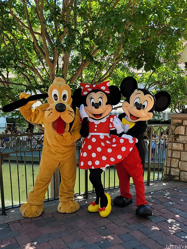 アプリに載っていないミッキー&ミニー&プルートの豪華なグリーティング