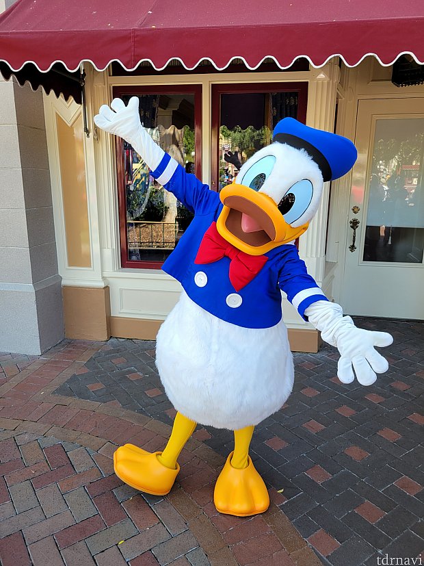 アプリに載っていないミッキー&ミニー&プルートの豪華なグリーティング