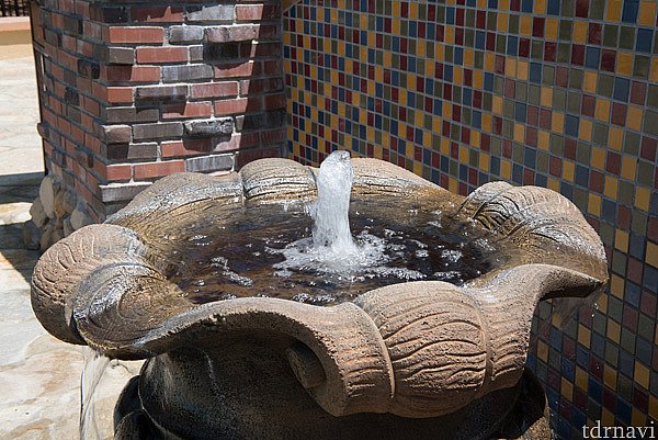 亀の噴水。
