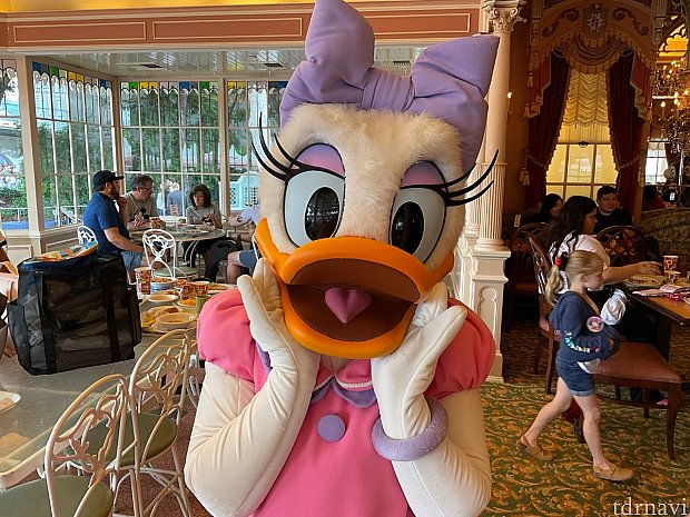 ミニーちゃんのエプロンがかわいくリニューアル&フォトパス無料