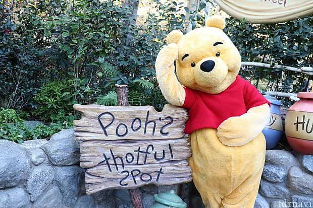 一度にプーさん、イーヨー、ティガーに会えました😍 | キャラクター