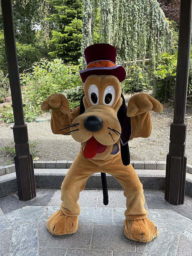 ファントム・マナー横に併設されたグリーティング！【2023年夏版】（パリ）