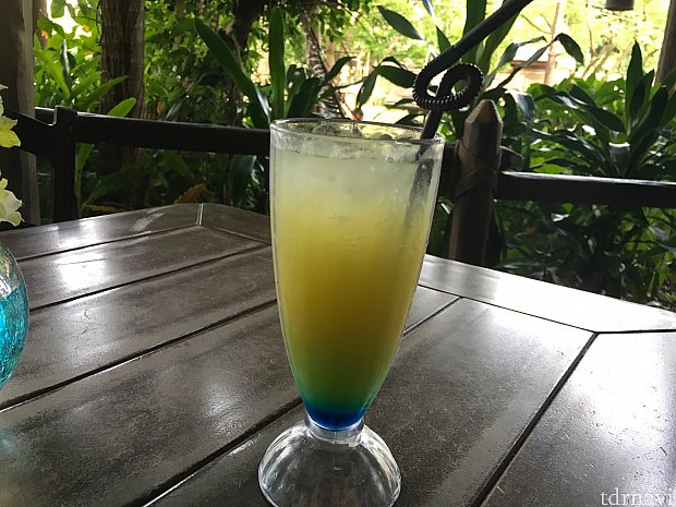 スペシャルドリンクは飲みやすく美味しい!だったのですが…、