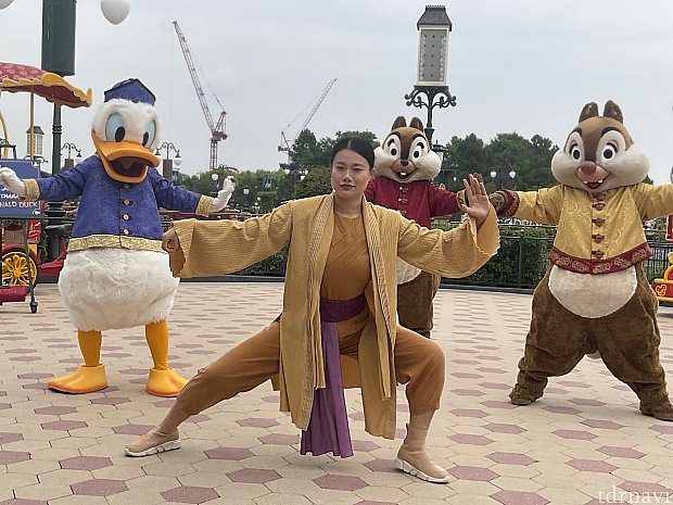 うしくんさん専用 ゴールド 盗賊王 久しぶりに見てここが変わった！「太極拳・ウィズ・キャラクター」（上海）