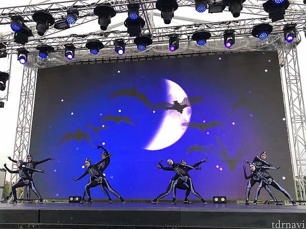 スケルトン!夜は光るのかも!?