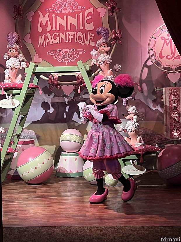 サーカスコスチュームが可愛い！ミニー、デイジー、ドナルド