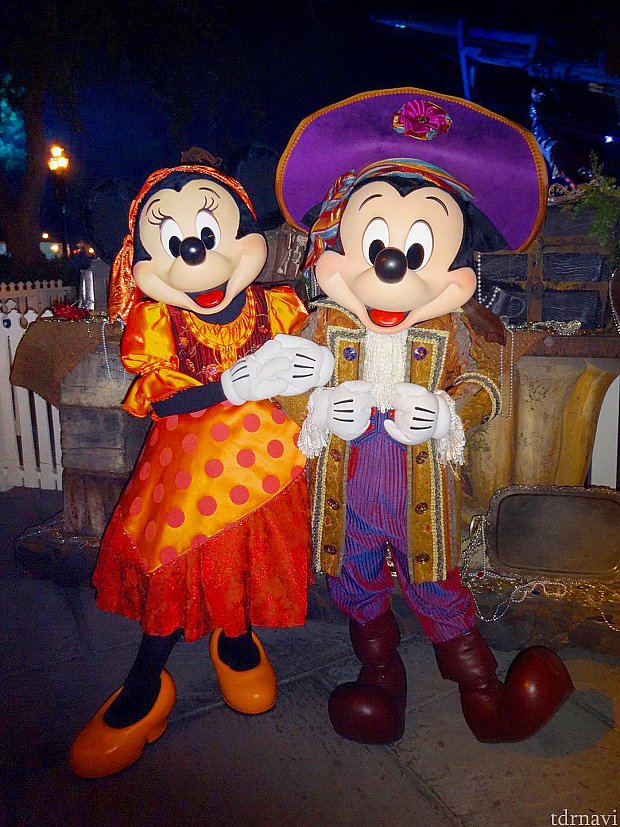 パーティー開始後、フロンティアランドで行われているハロウィン限定コスのグリーティングです。
ミニー&デイジーの入れ替え制なので注意!