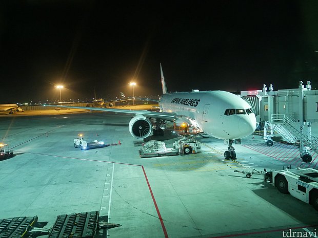 帰りは1:50出発のJAL38便。
飛行機では喉が乾くので、離陸後に水が配られるまでは起きてなきゃ!と思ってましたが、なんと離陸前に水を配ってくれました!なので、離陸する頃にはもう寝てました😌