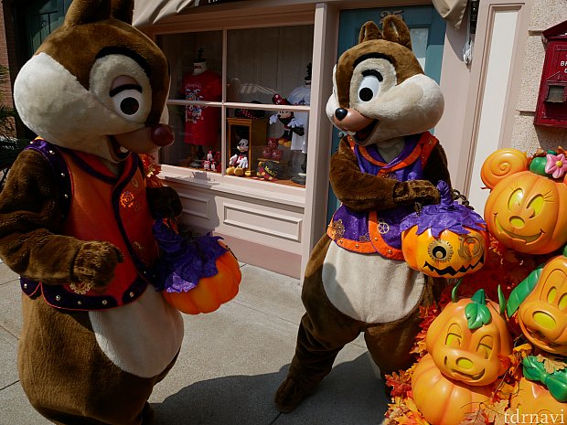 かぼちゃのバックを紛れ込ませるチップ🎃
