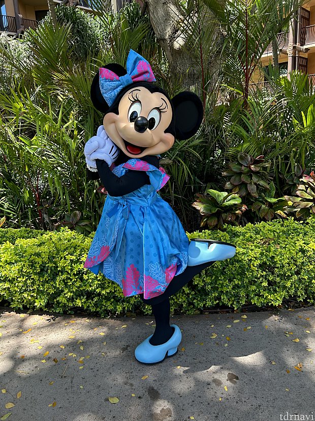 アウラニのフォトパス購入方法