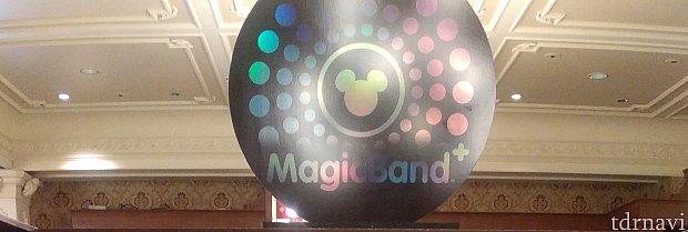 WDW MagicBand+ | マジックバンド（フロリダ）