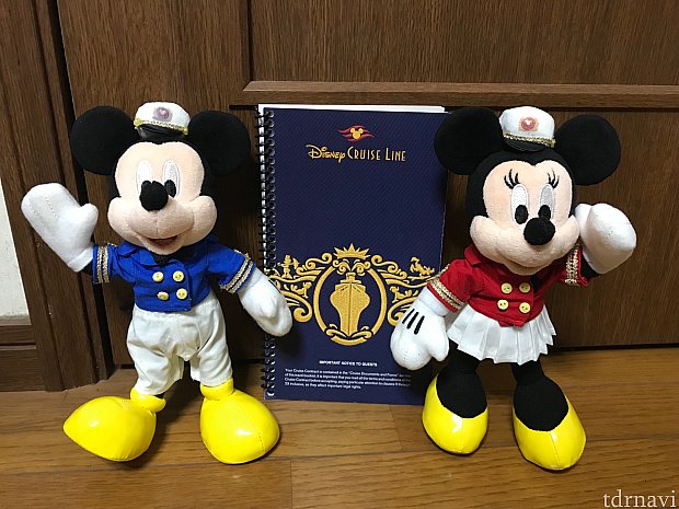 Dcl 初めてのディズニークルーズ 準備編