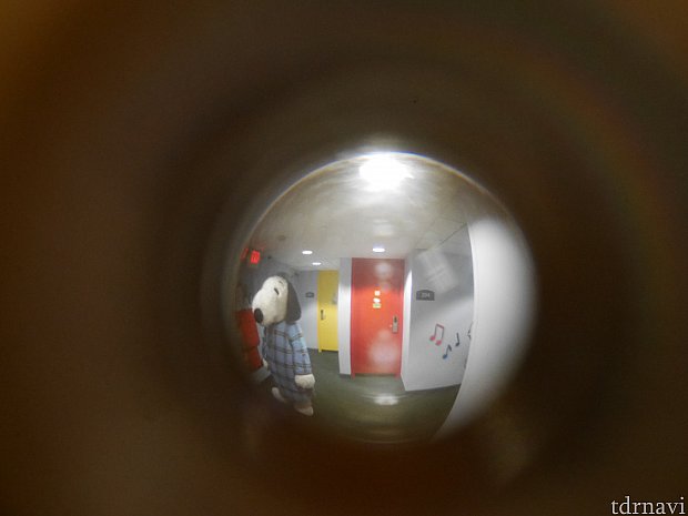 【パジャマスヌーピー】
ソワソワ覗き穴から確認しながら待ってました!おっとうとう隣りの部屋にスヌーピーが😆
