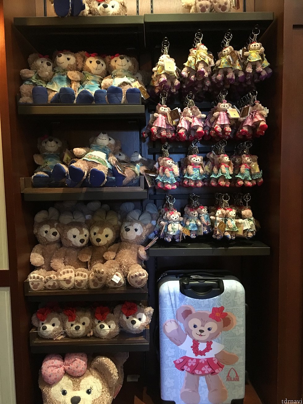 メイちゃんコーナー