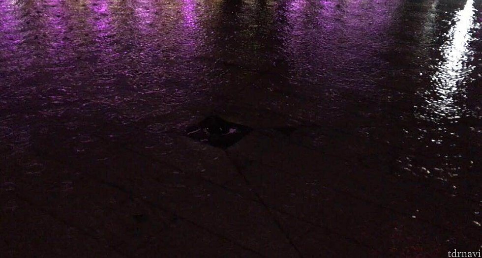 一時は排水が追いつかないくらいの大雨でした!☔️