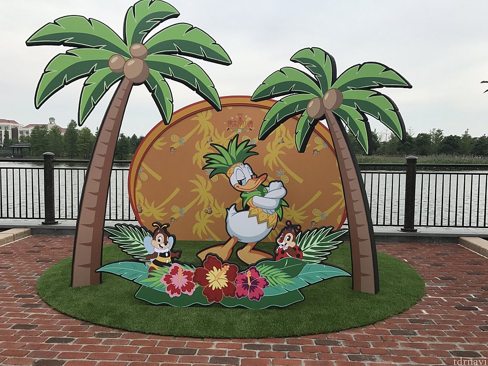 パイナポードナルド