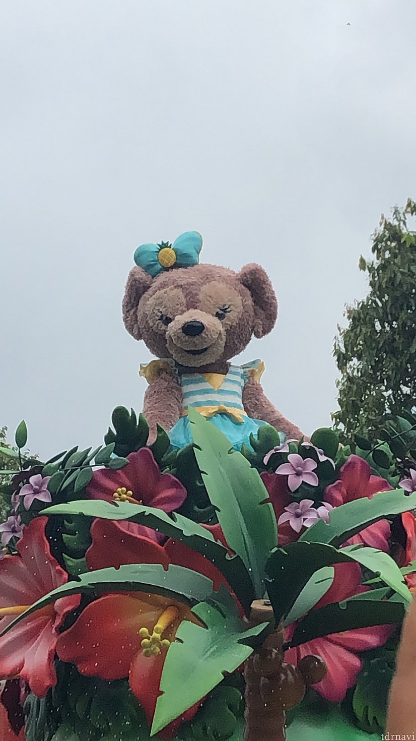 メイちゃんもかわいい!一生懸命踊ってました!