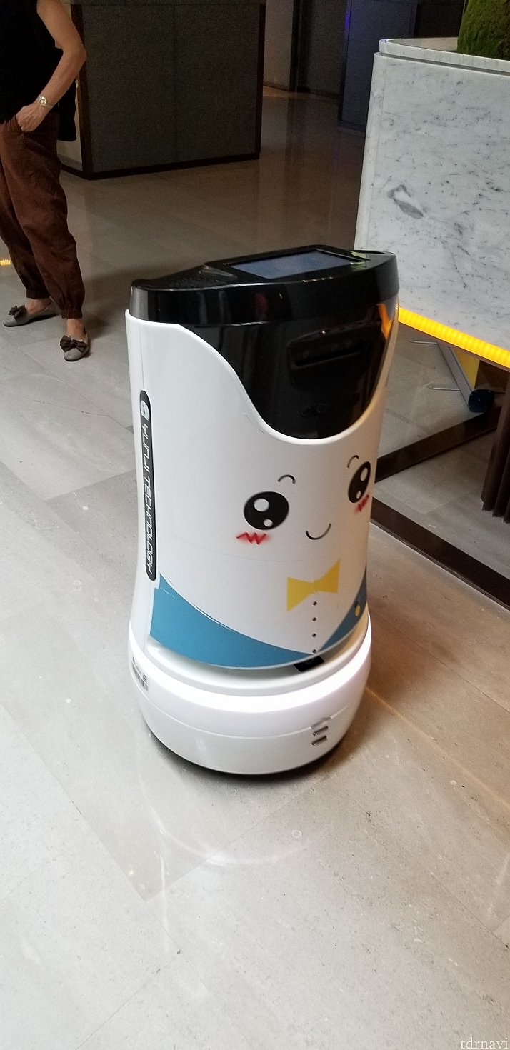 関係ないですが、こちらがノボテルのAIロボット。