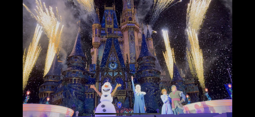 Frozen Holiday Surpriseフィナーレ<br>
最前列は近すぎてパイロが見切れました