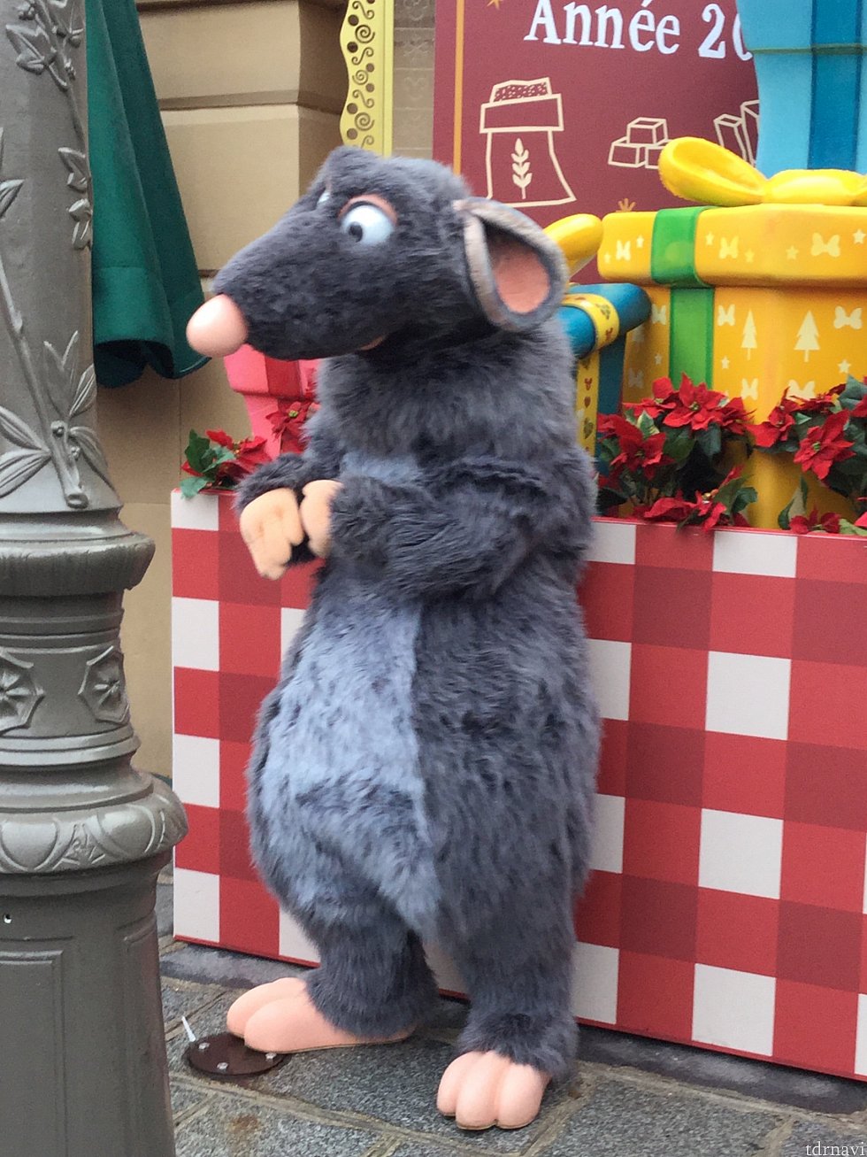 お店の向かい側でレミーのグリーティングやってました
クリスマス限定の様です