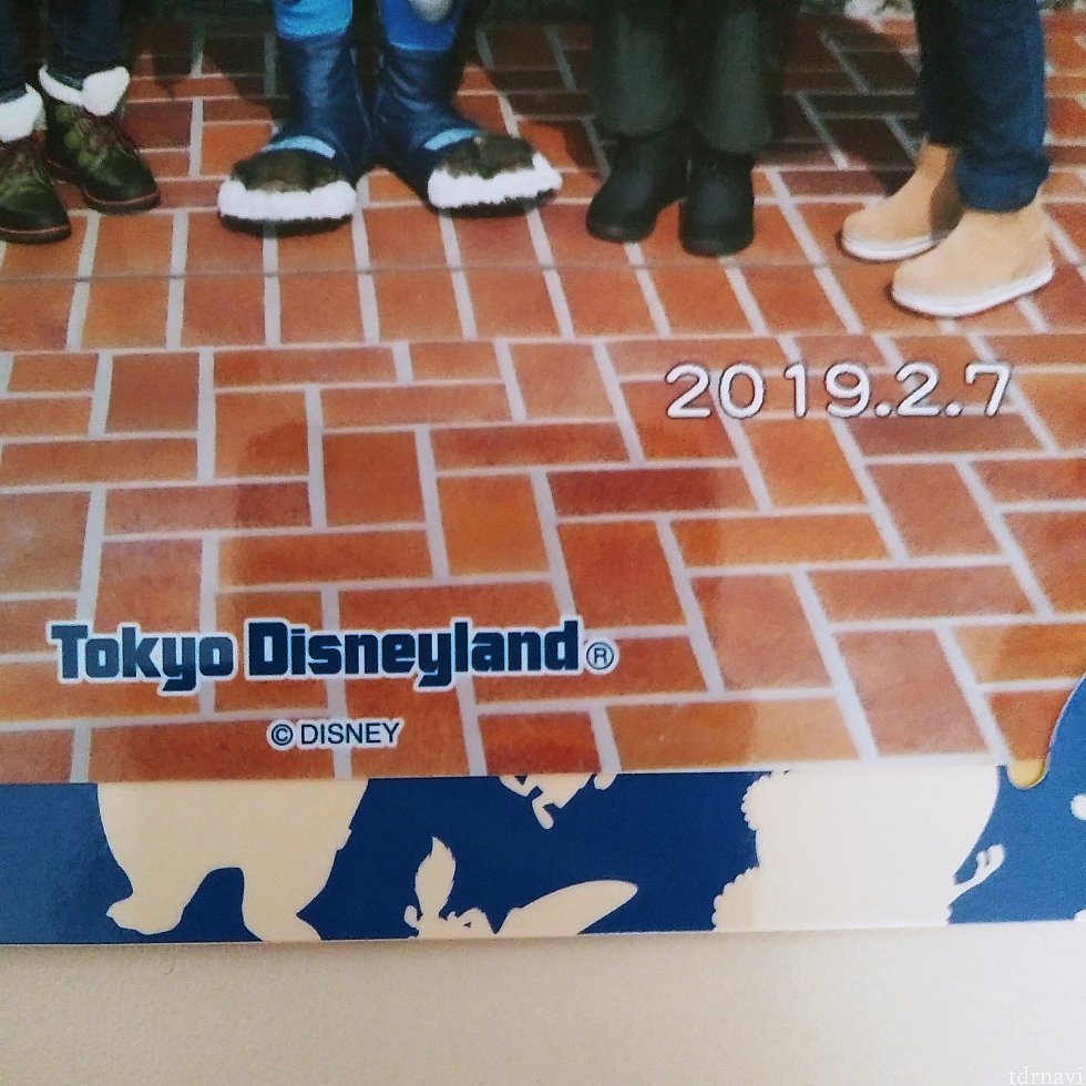 日にち、ディズニーランドのロゴ入りです!