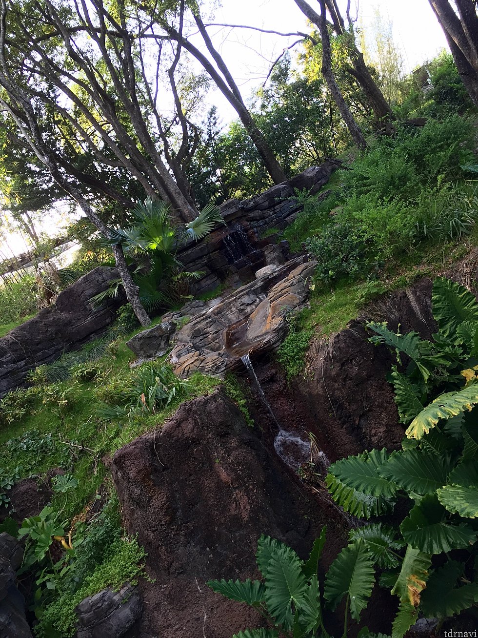 日によってはこの広大な山のようなところでゴリラ達が遊んでいる時もあります。トレイルの名前のとおり、数多くの滝を含む景色を見て行くのもこのトレイルの楽しみの一つです。