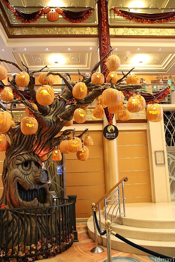 ハローウィンシーズンですから!