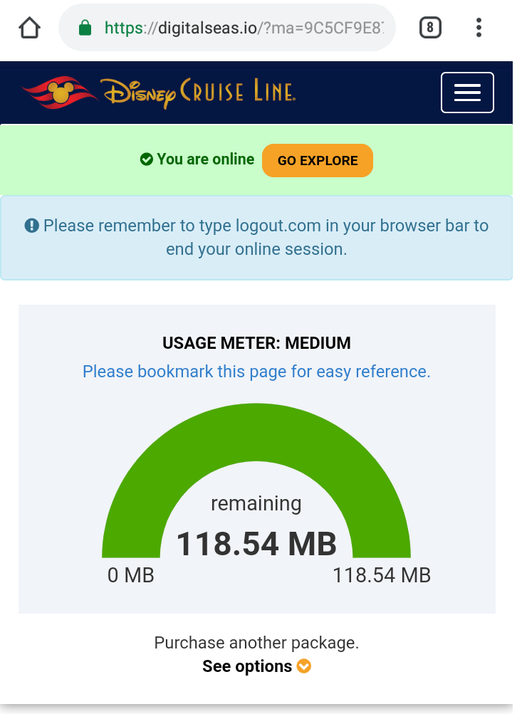 300MB購入し、2日ほど使用したときの残りです。