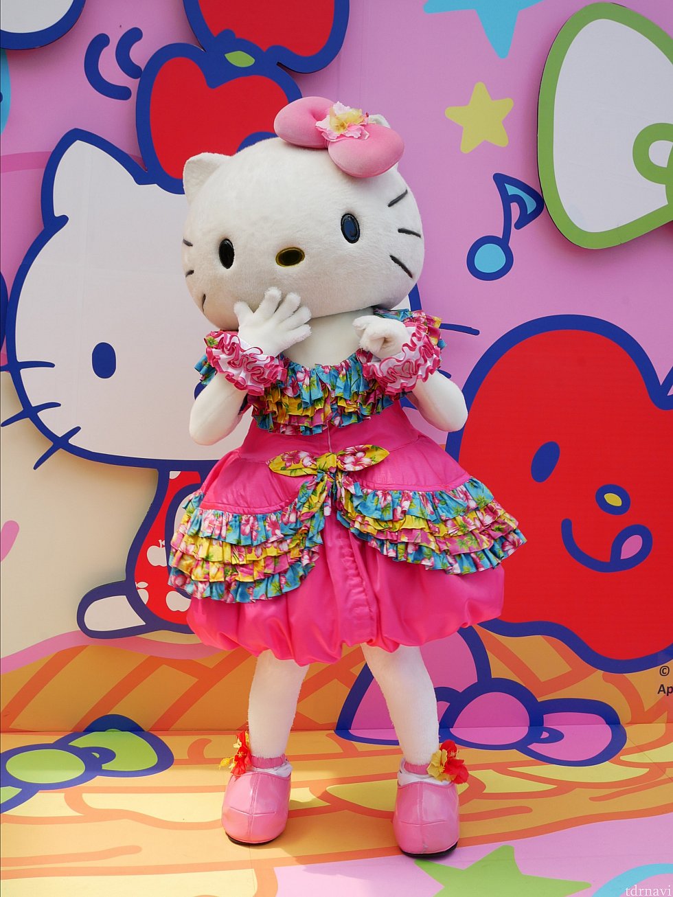 キティちゃんはただド派手な衣装を着てるだけだと思っていたのですが、ダニエルの柄見て、キティちゃんもハイビスカス柄で夏仕様だったと気付きました💦